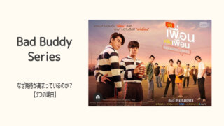 Bad Buddy Series