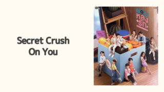 Secret Crush On You